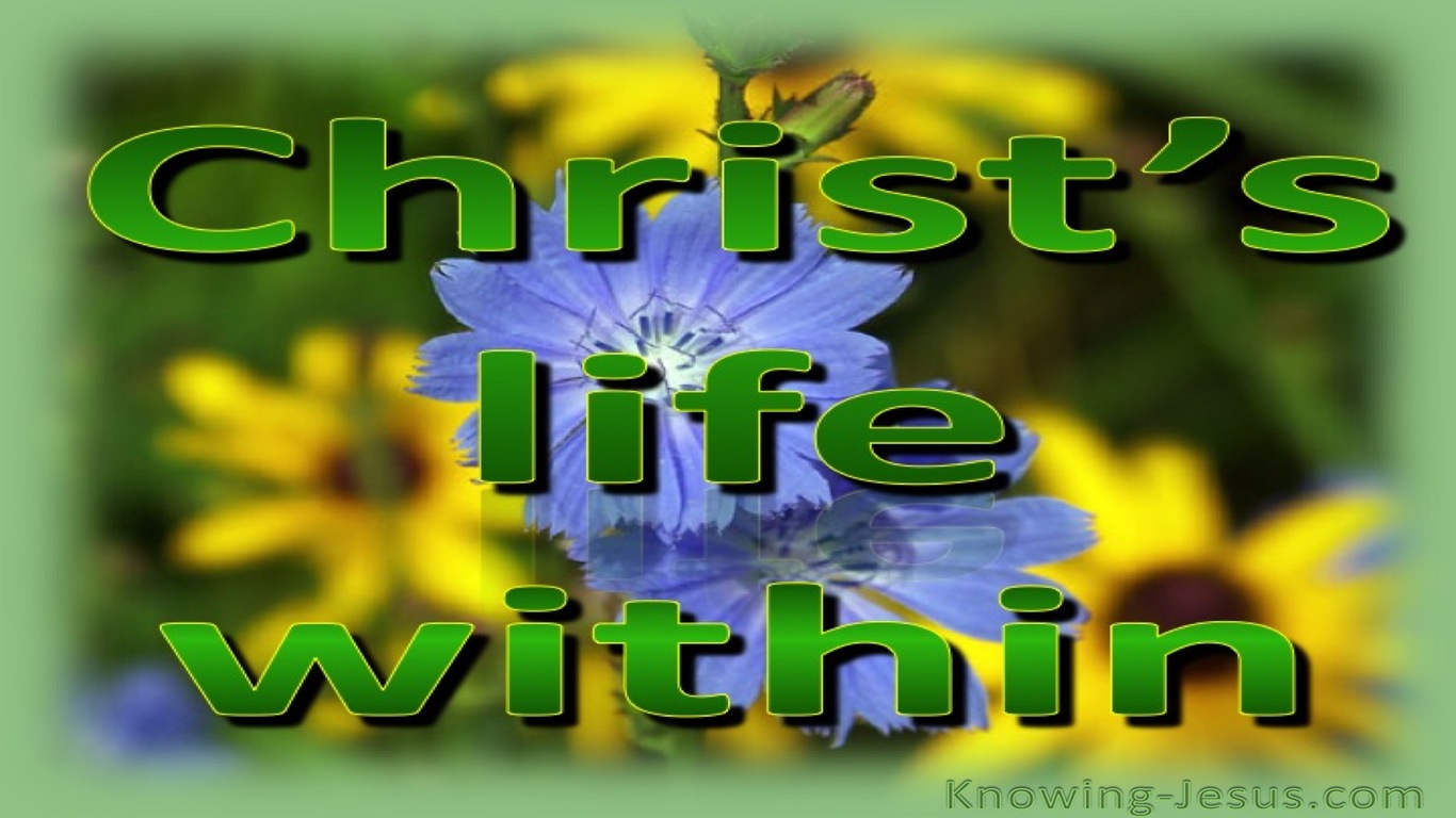 Colossians 3:4  Christ Who Is Our Life (green)